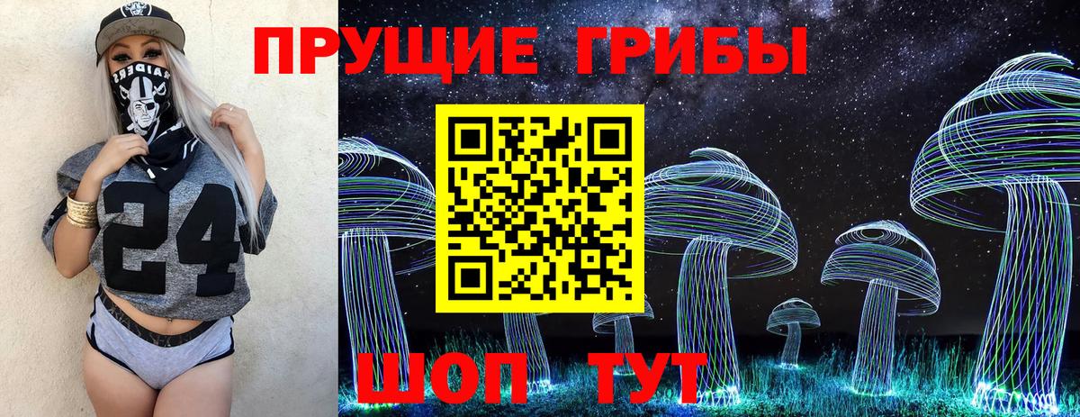 Псилоцибиновые грибы GOLDEN TEACHER Усолье-Сибирское