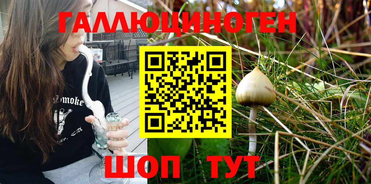 Псилоцибиновые грибы Magic Shrooms  Вход с VPN  Усолье-Сибирское  сколько стоит  Галлюциногенные грибы прущие грибы 